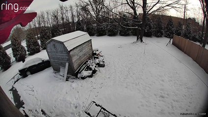 Man Slips on Patch of Ice