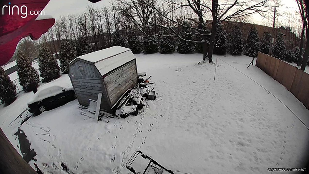Man Slips on Patch of Ice