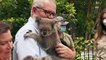 Government pledges $50m to help protect koalas