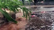 Moradores relatam vazamento de água em via pública na área militar