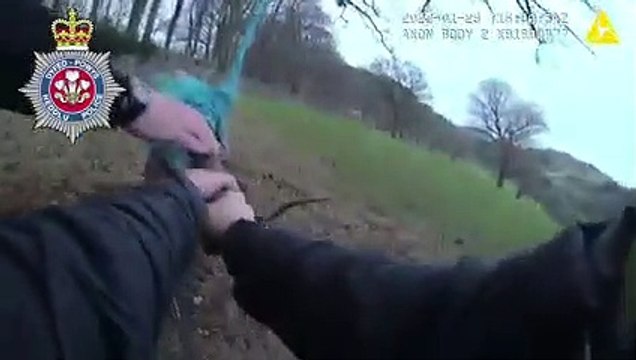 veado país de gales