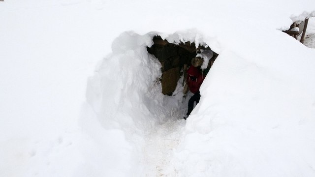 Muş’ta bir köy kara gömüldü, açtıkları tünellerle ulaşımı sağlıyorlar