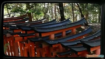 Le fond de l'affaire Saison 1 - Star Fox (EN)