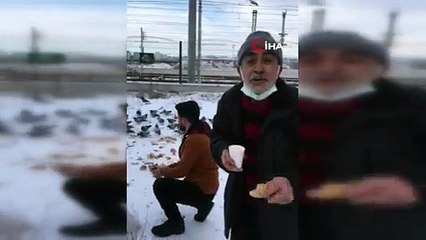 Çöpten topladığı ekmeklerle sokak hayvanlarını besliyor