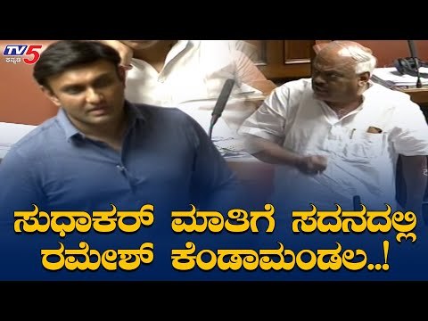 Sudhakar VS Ramesh Kumar At Assembly Session | TV5 Kannada