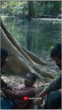 South Indian movie status shorts|| Allu Arjun status shorts|| Pushpa action scene shorts!!