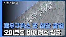 서울 동부구치소 또 집단 감염...감염 속도 빠른 오미크론 검출 / YTN