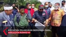 Momen Dedi Mulyadi Berjalan dengan Tongkat, Pimpin Penyegelan Lahan Sawit Ilegal di Riau