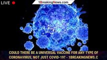 Could there be a universal vaccine for any type of coronavirus, not just COVID-19? - 1breakingnews.c