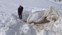 Bazı köylerinde tek katlı evler ve ahırlar karla kaplandı