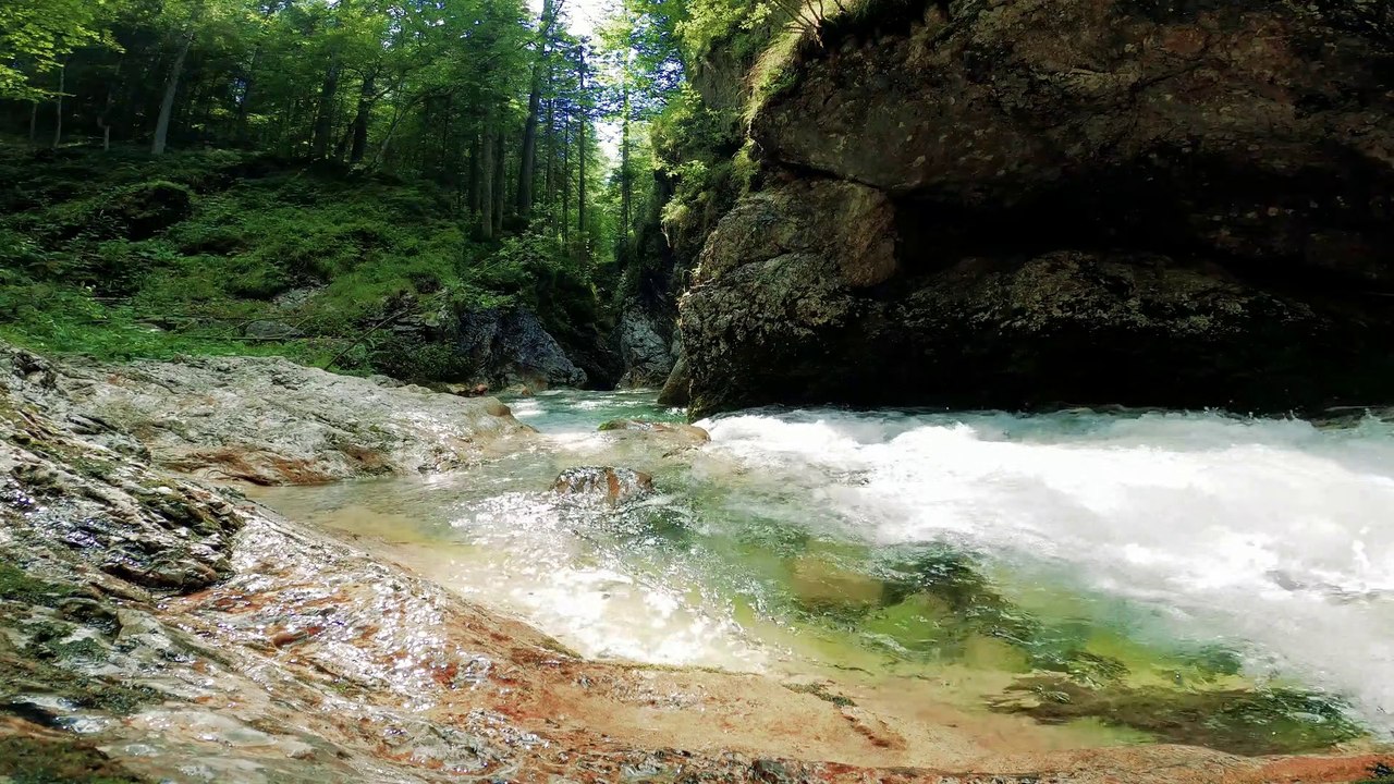 STREAM FLOWING IN MOSSY WOODLANDS AND RIVER FLOWING THROUGH FOREST