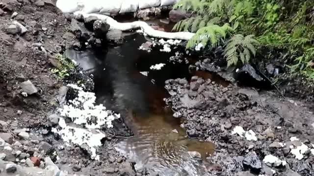 El vertido de crudo en la selva amazónica ecuatoriana ya contamina el río Piedra Fina