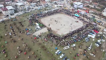 Efeler'de, develer kıran kırana mücadele etti