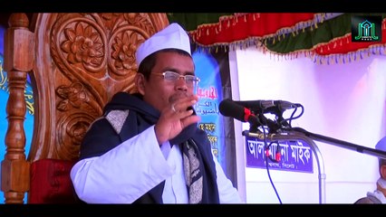 নিজেকে বড় মনে করেন - বাবুইপাখি ইঞ্জিনিয়ার বানর ডাক্তার মৌমাছি রাজনীতিবিদ  - শায়খুল হাদিস কবির আহমদ