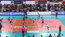 여자배구 IBK, 시즌 첫 연승...농구 SK, 10연승 질주 / YTN
