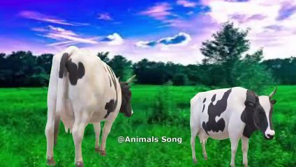 Cow Dance And Videos With Song 8 | Animals Song