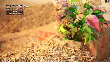 세계테마기행 - 위대한 유산- 대서양의 유산, 서아프리카_#002