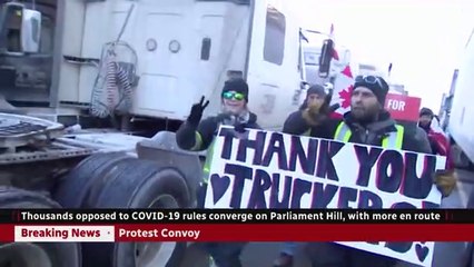 Thousands opposed to COVID-19 rules descend on Parliament Hill 29/1/2022