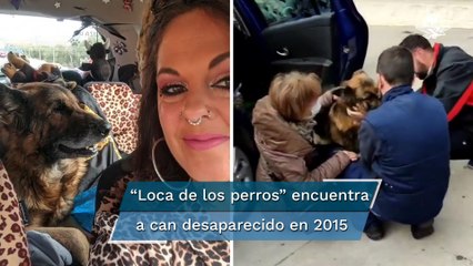 Perro “Dico” se reencuentra con su familia tras 7 años de estar perdido