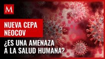 ¿Es una amenaza a la salud humana? NeoCov, la nueva cepa que enciende los focos rojos