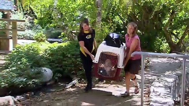 Nathan for You Saison 0 - Petting Zoo Hero (EN)