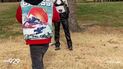 Just Alaina - Moo Thing