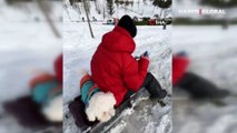 Beylikdüzü'nde karda kayak yapan köpek görenleri şaşırttı