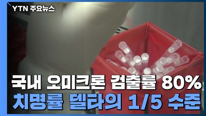 국내 오미크론 검출률 80%...치명률 델타의 1/5 수준 / YTN