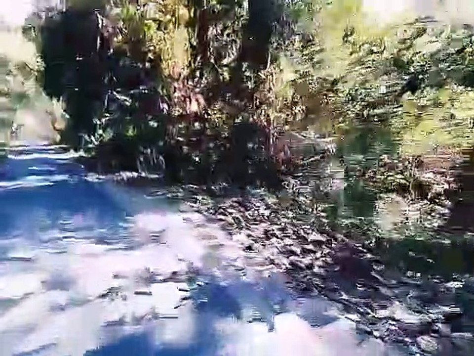 Kartaniya Ghat Jungle - the home of Tiger's
