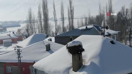 4 yıldır caminin bacasına yaptığı yuvada yaşayan leylek köyün maskotu oldu