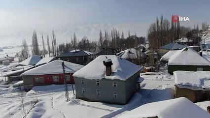 O türünün ilk ve son örneği: Göç etmeyen leylek Türkiye'ye yerleşti