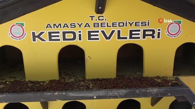 Minik öğrenciler kuşlar ve sokak hayvanları için yem ile mama dağıttı