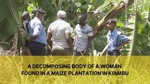 A mutilated body of woman found in a maize plantation in Kiambu