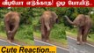 வாகன ஓட்டியை மிரட்டிய ஒற்றை காட்டு யானை Viral video | Oneindia Tamil