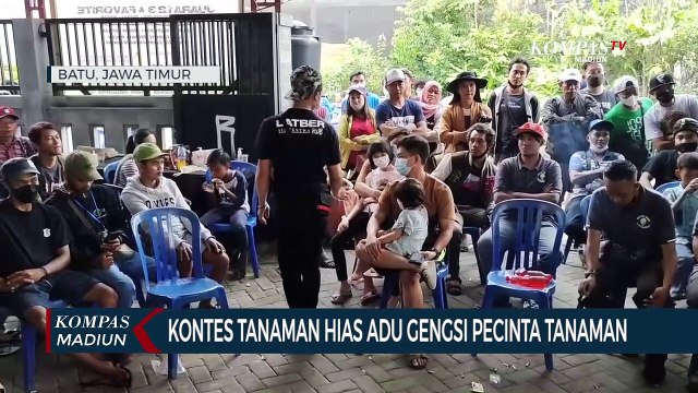 Kontes Tanaman Hias Adu Gengsi Pecinta Tanaman