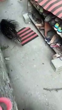 You know what is this