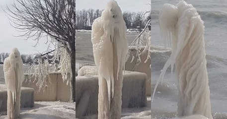 Il découvre avec stupeur d'incroyables formations de glace dans son jardin, dont l'une rappelle la Faucheuse
