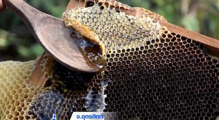 เรื่องพลบค่ำ (ช่วงที่ 4) วันที่ 31 มกราคม 2565