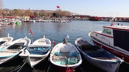 Balıkçılar yasağın bitmesinin ardından karides için ağ atacak