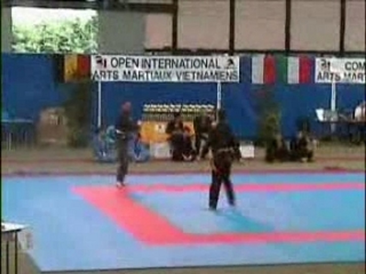 ⁣UVVDM Song Luyen Julien et Laurent Open International 2003
