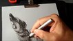 Art 3D Drawing Wolf- How to Draw Wolf- Artistic 3D Drawing