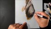 Drawing a Hippo- Trompe-l-oeil by Vamos