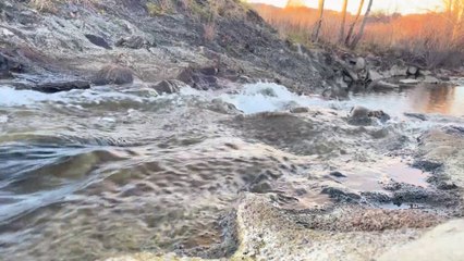 WATER FLOWING IN THE FOREST