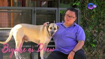 Biyahe ni Drew: Retired working dogs, binigyan ng bagong tahanan sa Angat Bulacan!