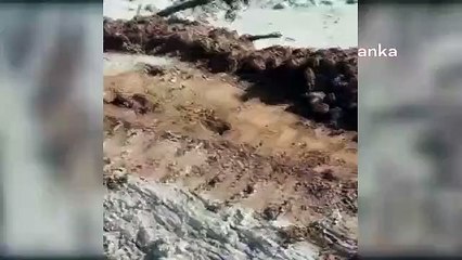 Giresun'da siyanür atıklarının olduğu havuz patladı