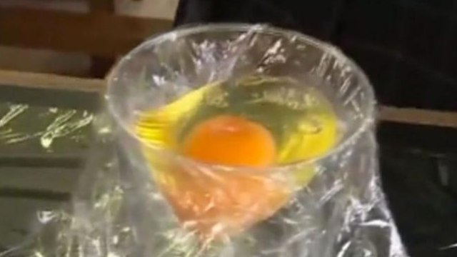 Ils font éclore un poussin... sans l'oeuf ! (VIDÉO)