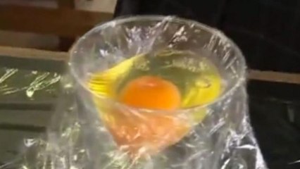 Ils font éclore un poussin... sans l'oeuf ! (VIDÉO)