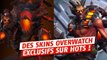 Overwatch : des nouveaux skins pour les héros présents dans Heroes of the Storm