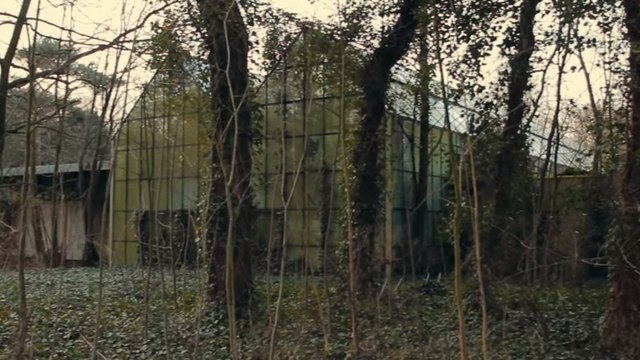 Des Néerlandais font une étonnante découverte dans un zoo abandonné depuis 30 ans