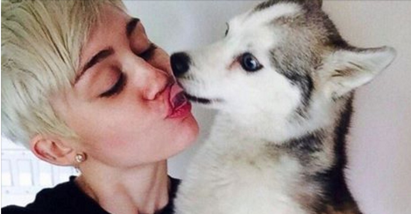 Voilà pourquoi vous ne devez plus laisser votre chien vous lécher le visage !